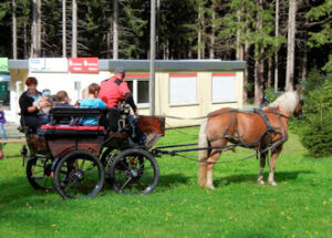 Kutschfahrt für Kinder mit Gunnar Strobel