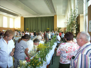 Gut besuchter Kräutertag zur Kirmes 2008 