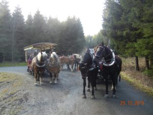 Kurze Rast