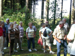 Auf dem Ringweg